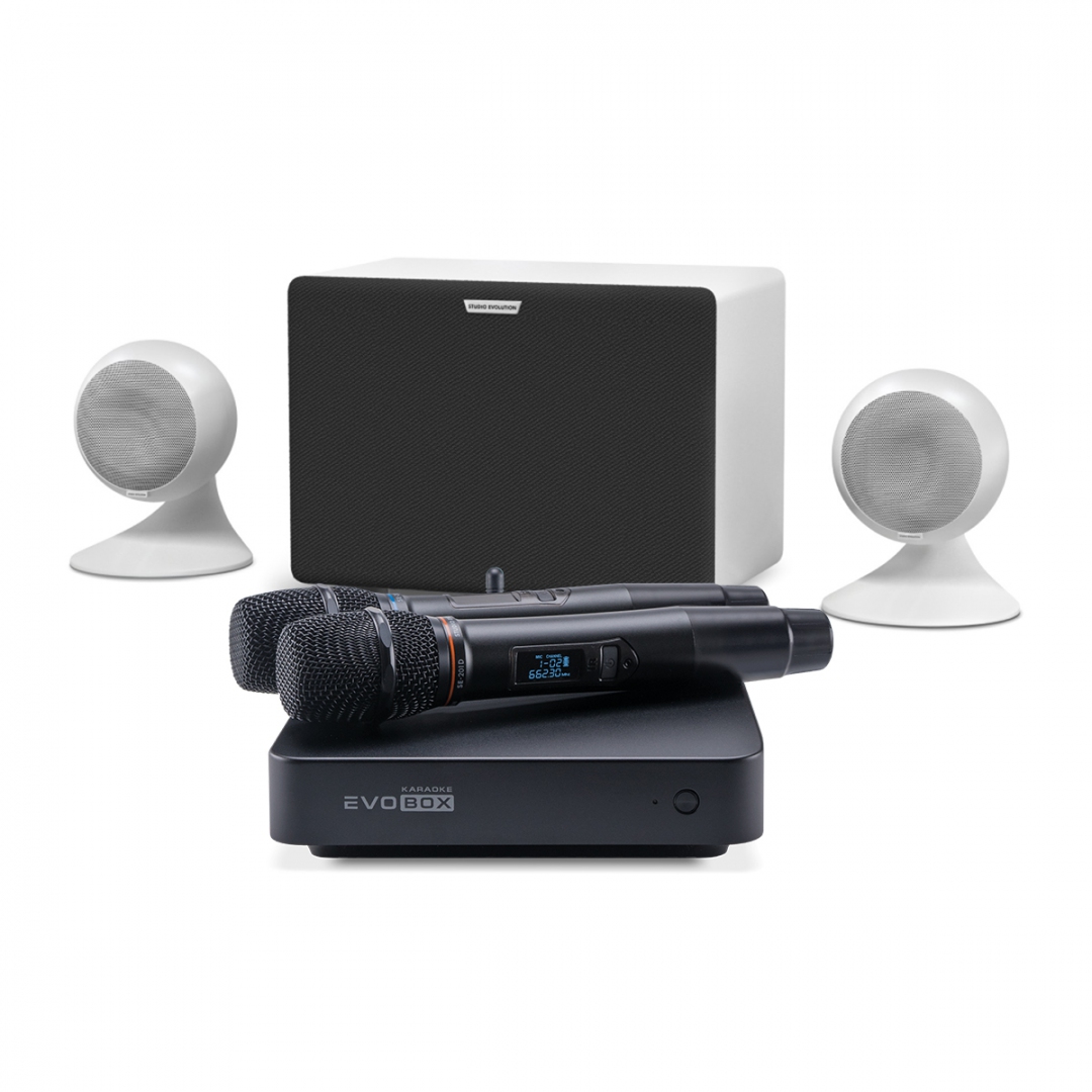 караоке-комплект EVOBOX Classic + EvoSound Sphere 2.1 в Рязанской области