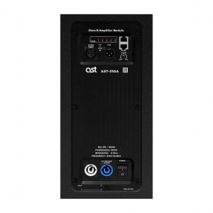 Активная акустическая система AST-310A в Рязанской области