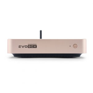 EVOBOX Plus караоке-система для дома в Рязанской области